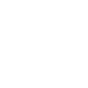 SPRENGELMEYER SPRENGELMEYER